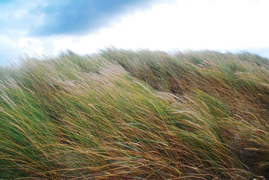 Dune Bep สกีร์มอนนิโคก ภายนอก รูปภาพ