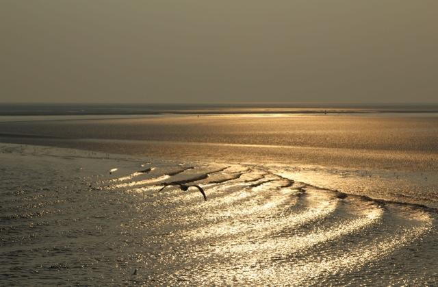 Dune Bep สกีร์มอนนิโคก ภายนอก รูปภาพ